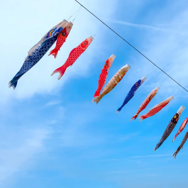 Коинобори Карпообразные Ветровые Носки Над Рекой Китаками Время Цветения Вишни — стоковое фото
