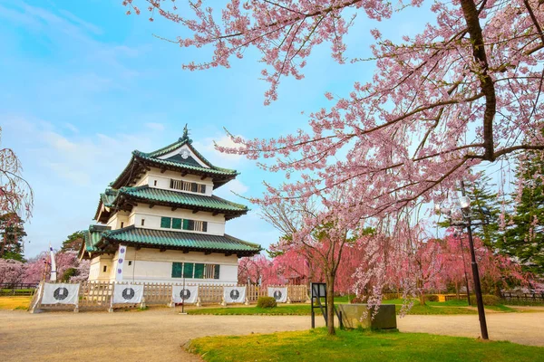 Full Blom Sakura Cherry Blossom Hirosaki Castle Hirosaki Park Vackraste — Stockfoto