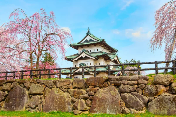 Полноцветение Сакуры Вишневый Бор Замке Хиросаки Парке Хиросаки Одном Самых — стоковое фото