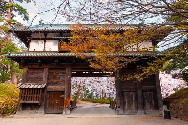 Volledige Bloei Sakura Cherry Blossom Hirosaki Park Een Van Mooiste — Stockfoto