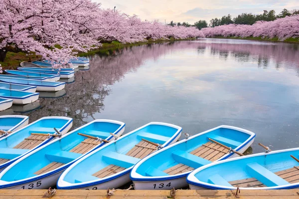 Sakura Kirschblüte Hirosaki Park Einem Der Schönsten Sakura Plätze Der — Stockfoto