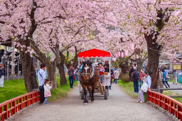 Ивате Япония Апреля 2018 Года Коляска Лошадьми Перевозит Группу Туристов — стоковое фото