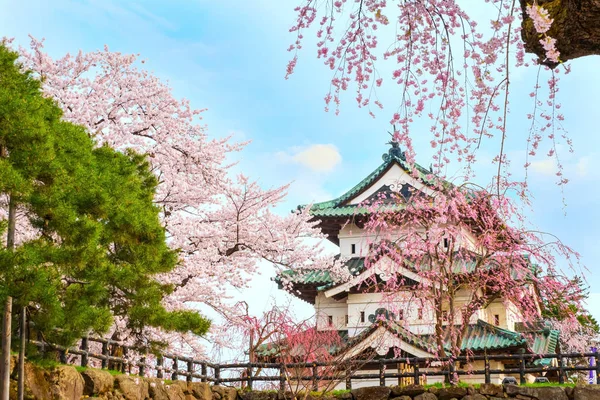 Volle Bloei Sakura Cherry Blossom Hirosaki Kasteel Hirosaki Park Een — Stockfoto