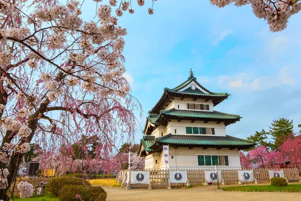 Full Blom Sakura Cherry Blossom Hirosaki Castle Hirosaki Park Vackraste — Stockfoto