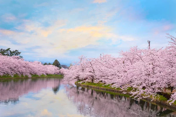 Tohoku Bölgesi Japonya Nın Güzel Sakura Yerlerinden Biri Olan Hirosaki — Stok fotoğraf