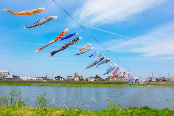 Koinobori Karpfenförmige Windsäcke Über Dem Kitakami Fluss Während Der Kirschblüte — Stockfoto