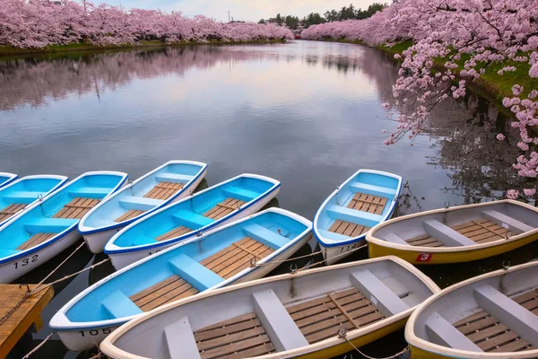 广崎公园盛开的樱花 是东北地区和日本最美丽的樱花景点之一 — 图库照片