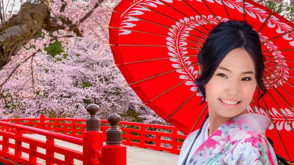 Mujer Japonesa Kimono Vestido Con Plena Floración Sakura Flor Cerezo —  Fotos de Stock