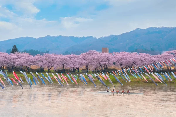 岩手県の北上 Tenshochi 公園で満開の桜さくら — ストック写真