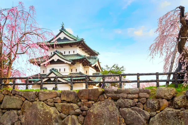 Full Bloom Sakura Cherry Blossom Castelo Hirosaki Parque Hirosaki Dos — Fotografia de Stock