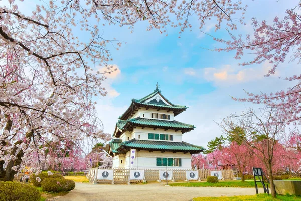 満開桜 東北地方と日本の最も美しい桜スポットの一つ 弘前公園内の弘前城の桜 — ストック写真