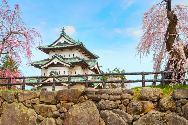 Volle Blüte Sakura Kirschblüte Bei Der Hirosaki Burg Hirosaki Park — Stockfoto