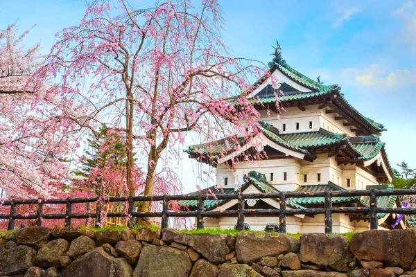 満開桜 東北地方と日本の最も美しい桜スポットの一つ 弘前公園内の弘前城の桜 — ストック写真