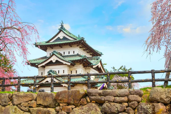 Полноцветение Сакуры Вишневый Бор Замке Хиросаки Парке Хиросаки Одном Самых — стоковое фото