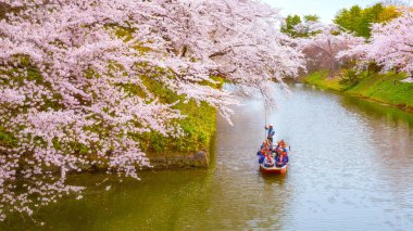 Hirosaki, Japonya - 23 Nisan 2018: Sakura - Cherry Blossom tam çiçeklenme Hirosaki Park, en güzel sakura Tohoku bölgesi ve Japonya spot