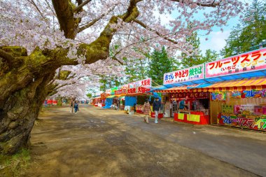 Hirosaki, Japonya - 23 Nisan 2018: Cherry Blossom Festivali Hirosaki Park, en güzel sakura Tohoku bölgesi ve Japonya spot