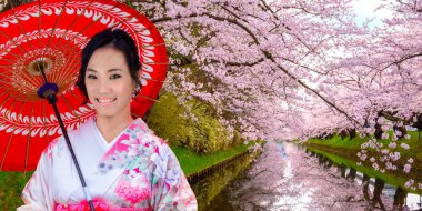 İle dolu Kimono içinde Japon kadın çiçek Sakura - Cherry Blossom Hirosaki Park, en güzel sakura Tohoku bölgesi ve Japonya spot