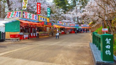 Hirosaki, Japonya - 23 Nisan 2018: Cherry Blossom Festivali Hirosaki Park, en güzel sakura Tohoku bölgesi ve Japonya spot