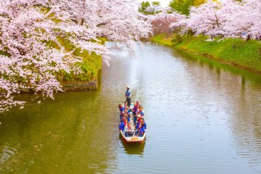 Hirosaki, Japonya - 23 Nisan 2018: Sakura - Cherry Blossom tam çiçeklenme Hirosaki Park, en güzel sakura Tohoku bölgesi ve Japonya spot