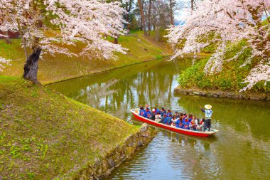 Hirosaki, Japonya - 23 Nisan 2018: Sakura - Cherry Blossom tam çiçeklenme Hirosaki Park, en güzel sakura Tohoku bölgesi ve Japonya spot