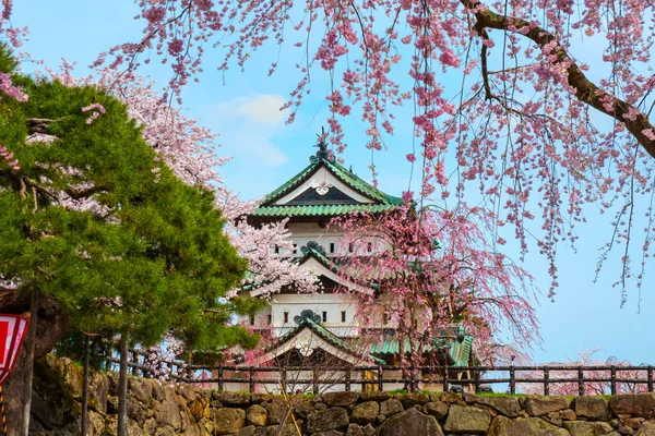 Full Blom Sakura Cherry Blossom Hirosaki Castle Hirosaki Park Vackraste — Stockfoto