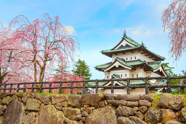 Full Blom Sakura Cherry Blossom Hirosaki Castle Hirosaki Park Vackraste — Stockfoto