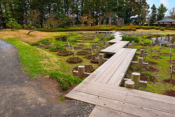 Jardín Japonés Conmemorativo Fujita Hirosaki Japón —  Fotos de Stock