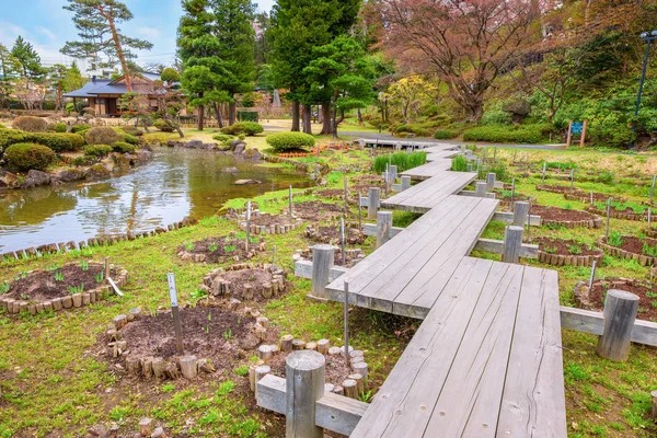 Ogród Japoński Memorial Fujita Hirosaki Japan — Zdjęcie stockowe