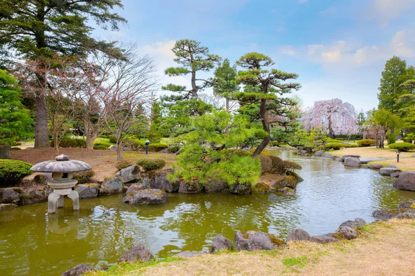Цветущая Сакура Японском Саду Фудзита Хиросаки Япония — стоковое фото