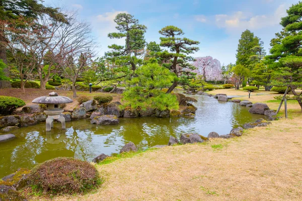 満開の桜弘前県の藤田記念日本庭園 — ストック写真