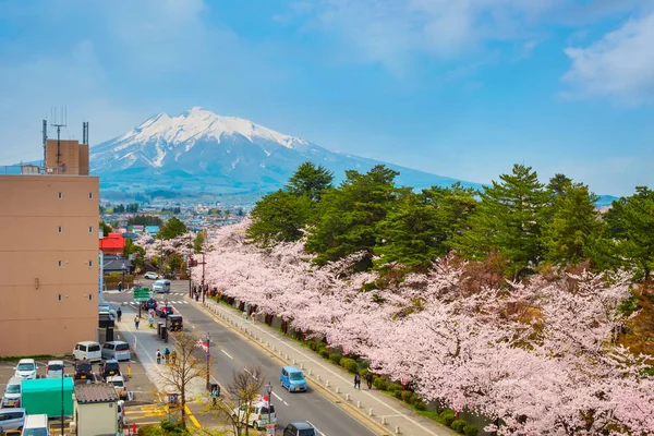 Hirosaki Japan April 2018 Hirosaki Municipal Hall Ist Einer Der — Stockfoto