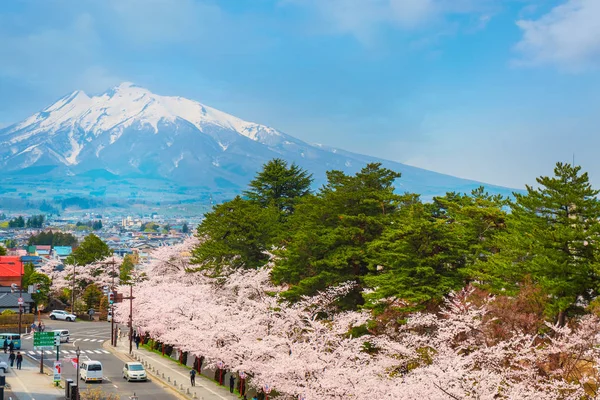 Hirosaki Japonya Nisan 2018 Hirosaki Belediye Salonu Iyi Nokta Görüş — Stok fotoğraf