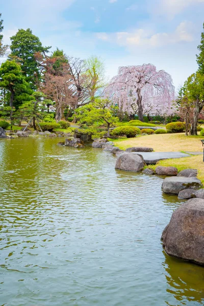 満開の桜弘前県の藤田記念日本庭園 — ストック写真