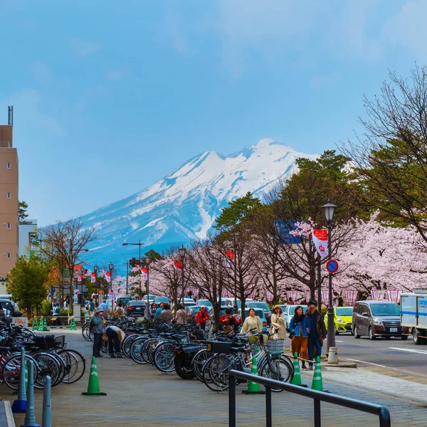 日本弘前 2018年4月23日 弘前市政厅是春季与岩木山观赏樱花的最佳地点之一 — 图库照片
