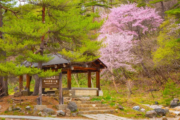 Peisaj Frumos Parcului Sainokawara Din Kusatsu Onsen Primăvară Fierbinte Gunma — Fotografie, imagine de stoc