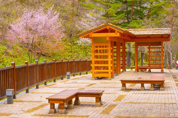 Όμορφο Τοπίο Του Πάρκου Sainokawara Kusatsu Onsen Ζεστό Άνοιξη Γκούνμα — Φωτογραφία Αρχείου