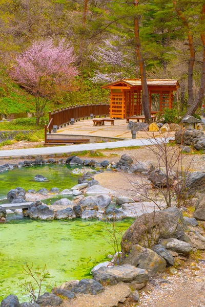 群馬県草津温泉の西の河原公園の美しい風景 — ストック写真