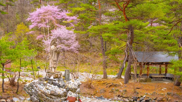 Bellissimo Paesaggio Del Parco Sainokawara Kusatsu Onsen Primavera Calda Gunma — Foto Stock