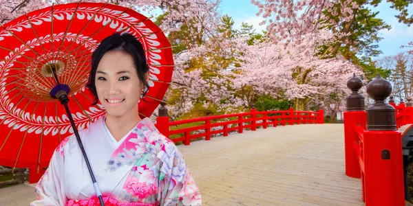 Japonská Žena Kimonodress Plnou Bloomsakura Cherry Blossom Hirosaki Park Japonsko — Stock fotografie