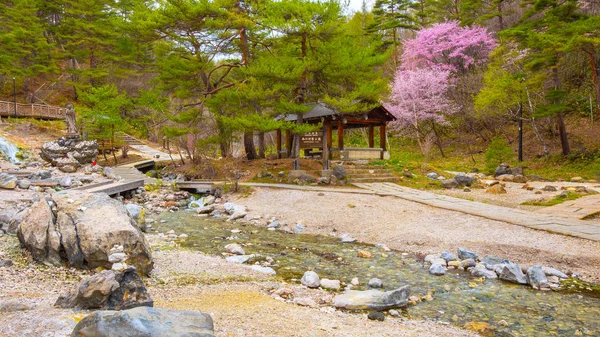 Bellissimo Paesaggio Del Parco Sainokawara Kusatsu Onsen Primavera Calda Gunma — Foto Stock