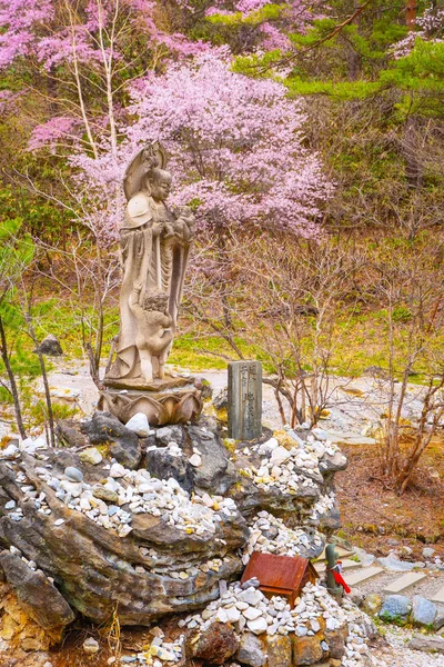 群馬県草津温泉の西の河原公園の美しい風景 — ストック写真