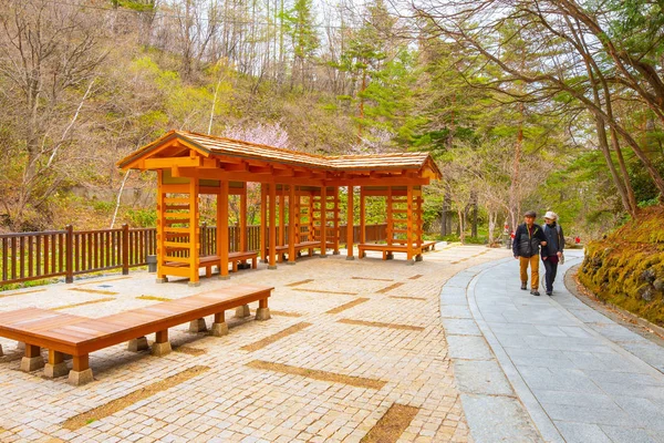Gunma Japán Április 2018 Sainokawara Parkban Található Völgy Közelében Kusatsu — Stock Fotó