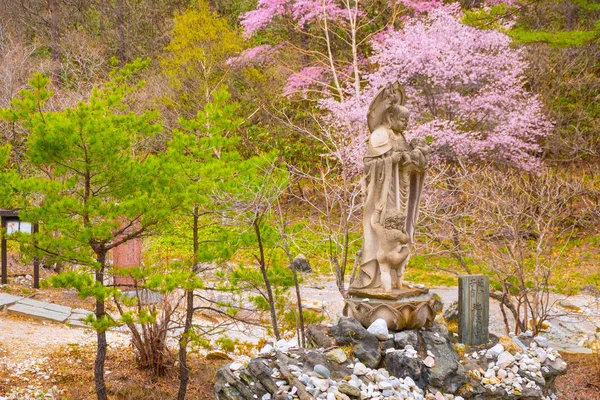 Gyönyörű Táj Sainokawara Park Kusatsu Onsen Forró Tavasz Gunma Japán — Stock Fotó