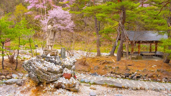 Prachtige Landschap Van Sainokawara Park Kusatsu Onsen Warmwaterbron Gunma Japan — Stockfoto