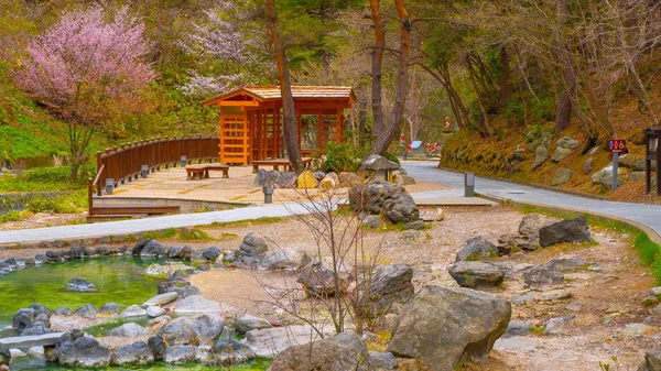 Hermoso Paisaje Del Parque Sainokawara Las Aguas Termales Kusatsu Onsen — Foto de Stock