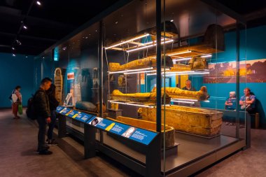 Liverpool, İngiltere - 16 Mayıs 2018: Dünya Müzesi Liverpool Arkeoloji, doğal geniş koleksiyon evler ve Fizik Bilimleri, dahil doğa tarihi merkezi ve bir planetaryum