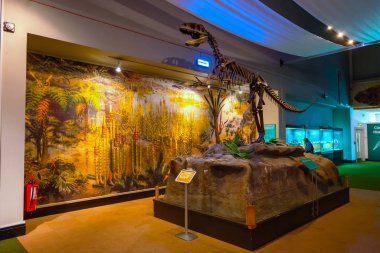 Liverpool, İngiltere - 16 Mayıs 2018: Dünya Müzesi Liverpool Arkeoloji, doğal geniş koleksiyon evler ve Fizik Bilimleri, dahil doğa tarihi merkezi ve bir planetaryum