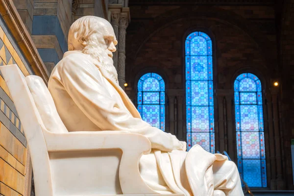 Статуя сэра Чарльза Дарвина в Музее естественной истории в Лондоне — стоковое фото