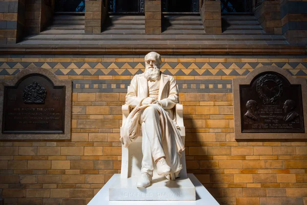 Sir Charles Darwin a londoni Természettudományi Múzeum: szobor — Stock Fotó