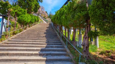 , Japonya 'nın Aizuwakamatsu 'daki mt. Iimori 'de yer alan Byakkutai (beyaz kaplan kuvvetleri) mezarına kadar yol